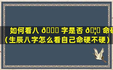 如何看八 🐕 字是否 🦈 命硬（生辰八字怎么看自己命硬不硬）